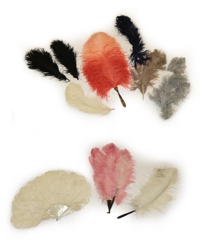 Assorted Late 19th/Early 20th Century Ostrich Feathers and Fans, comprising a white feather fan on