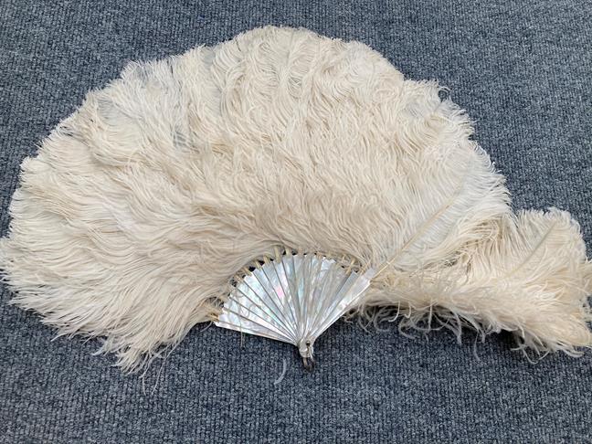 Assorted Late 19th/Early 20th Century Ostrich Feathers and Fans, comprising a white feather fan on - Image 11 of 13