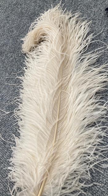 Assorted Late 19th/Early 20th Century Ostrich Feathers and Fans, comprising a white feather fan on - Image 10 of 13