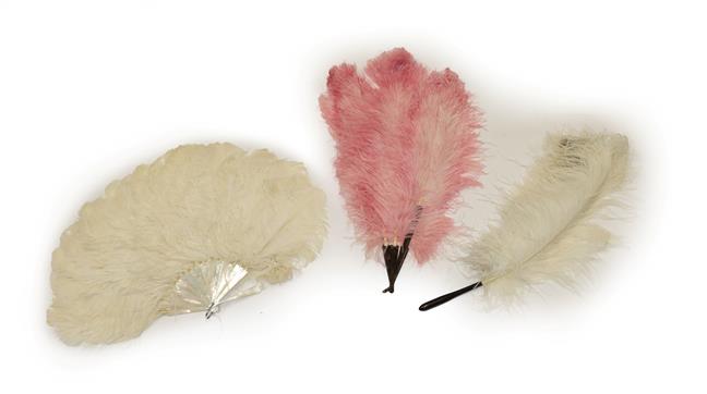 Assorted Late 19th/Early 20th Century Ostrich Feathers and Fans, comprising a white feather fan on - Image 7 of 13