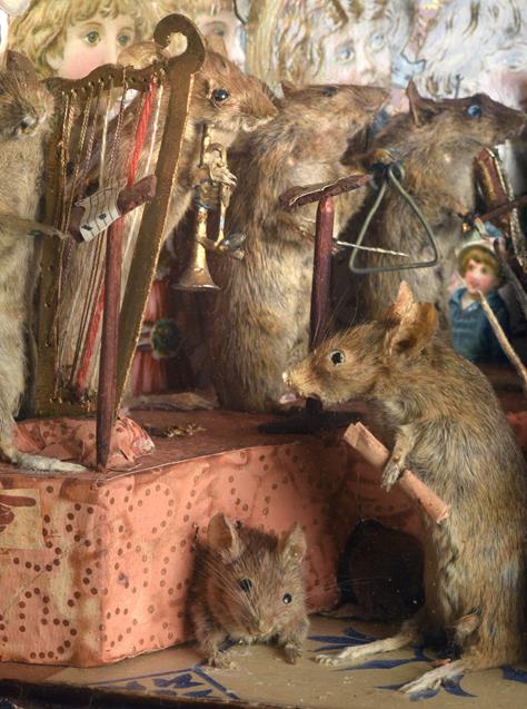 Taxidermy: An Anthropomorphic Mice Diorama titled ''The Band of Hope'', circa mid-late 19th century, - Image 4 of 4