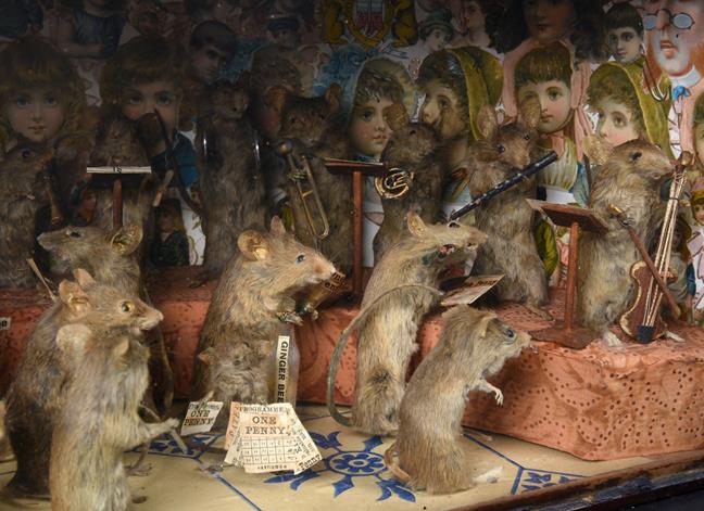 Taxidermy: An Anthropomorphic Mice Diorama titled ''The Band of Hope'', circa mid-late 19th century, - Image 2 of 4