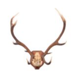 Antlers/Horns: European Red Deer (Cervus elaphus) dated Oct 15th 1932, Devon & Somerset hounds.