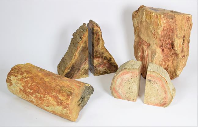 Fossils: Petrified Wood Specimens, Brazil, a pair of petrified wood bookends, 9.5cm by 7cm by 19cm