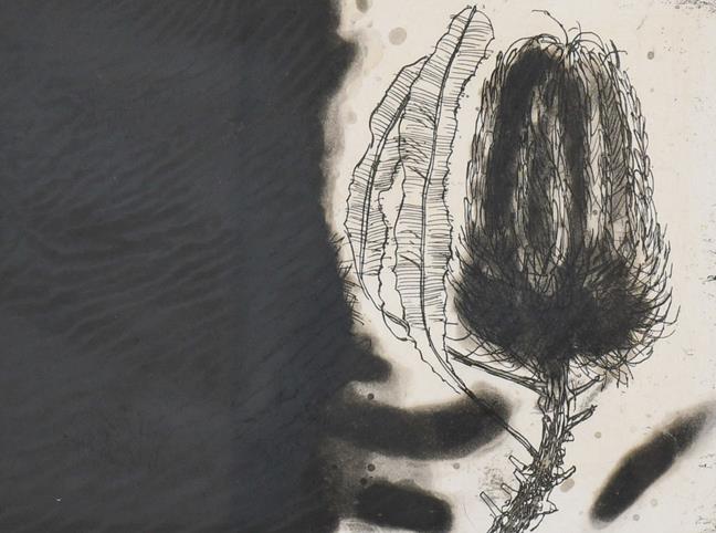 Dame Elizabeth Violet Blackadder DBE, RA, RSA (b.1931) Scottish ''Banksia'' Signed and numbered 10/