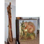 Ten various sticks etc including a cased taxidermy squirrel