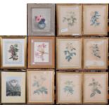 A collection of 19th and 20th century botanical prints, framed and glazed (qty)