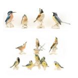 A selection of Karl Ens porcelain bird models (one tray)