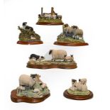 Border Fine Arts Classic and Studio sheep models including; 'Bolted' model No.A1017, 'Found Safe'