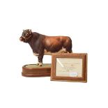 A Royal Worcester 'Dairy Shorthorn Bull' modelled by Doris Lindsner, with certificate, no 388 of