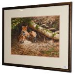 Adrian Rigby (Contemporary) Foxes sheltering Signed, gouache, 41cm by 58.5cm Artist's Resale