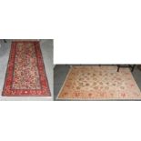 An Afghan rug, the ivory field with an all over design of vines enclosed by palmette vine borders,