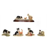 Border Fine Arts Collie models including 'Bob', 'Sweep', 'First Lesson', 'Hen Pecked', etc (qty on