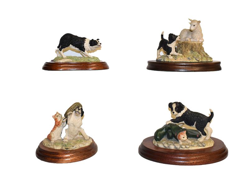 Border Fine Arts Collie models including 'Bob', 'Sweep', 'First Lesson', 'Hen Pecked', etc (qty on - Image 2 of 5