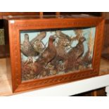 Taxidermy: A case of Victorian game and garden birds, comprising a Red Grouse cock bird and two
