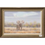 Wim Kosch (Contemporary) South African Elephant, Signed and dated (19)96, oil on board, 31cm by 51cm