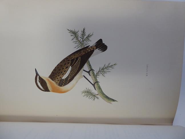 Morris (Francis Orpen). A History of British Birds, 2nd edition, London: Bell and Daldy, 1870. 6 - Image 8 of 15