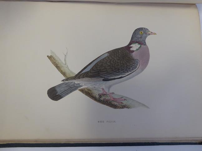 Morris (Francis Orpen). A History of British Birds, 2nd edition, London: Bell and Daldy, 1870. 6 - Image 9 of 15