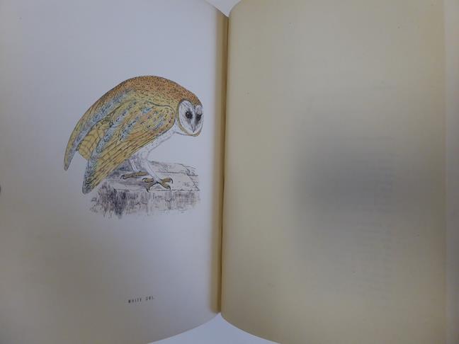 Morris (Francis Orpen). A History of British Birds, 2nd edition, London: Bell and Daldy, 1870. 6 - Image 6 of 15