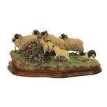 Border Fine Arts 'Gathering the Strays' (Sheep and Collie), model No. JH28 Ray Ayres, limited