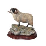 Border Fine Arts 'Blackie Tup', model No. B0354 by Ray Ayres, limited edition 136/1750, on wood