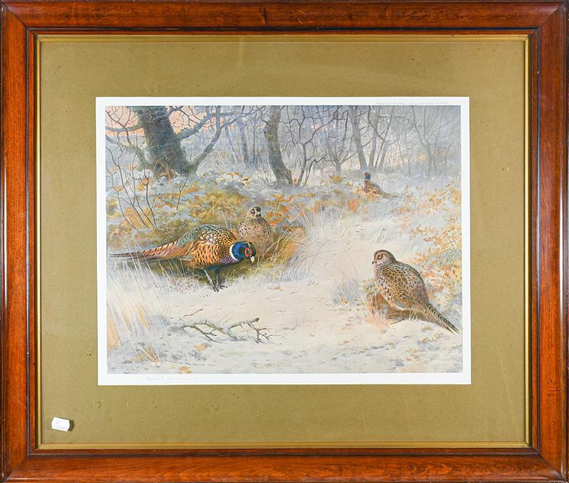 After Archibald Thorburn (1860-1935), Grouse in a winter landscape, signed print 41cm by 54cm