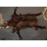 Taxidermy: an Alpine Chamois cushioned rug (Rupicapra rupicapra), circa late 20th century, a