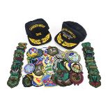 A Collection of Approximately Seventy US Air Force and Other Embroidered Cloth Insignia, including