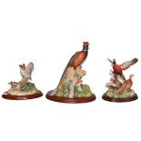 Border Fine Arts Game Birds, comprising: 'Woodland Majesty' (Cock Pheasant), model No. BFA96 (a.f.),