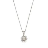 A Diamond Cluster Pendant on Chain, a round brilliant cut diamond within a double border of round