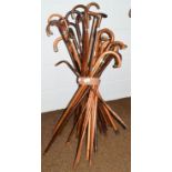 A collection of approximately thirty partridge wood, bamboo, cane and other walking sticks, some