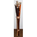 Ten Various silver mounted walking sticks (10)