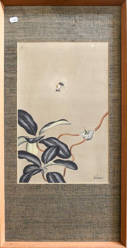 John Eastman (20th century) Four watercolours to include a hummingbird, a Canadian nut hatch, and - Image 4 of 4