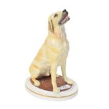 Royal Worcester model of a Yellow Labrador, by Kenneth Potts, 44/250