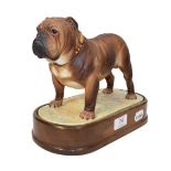 Royal Worcester model The Bulldog, by Doris Lindner, on a wooden plinth
