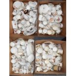 A large quantity of Royal Commemorative ceramics relating to Queen Victoria, King Edward VII and