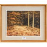 P Colson (20th century), A woodland view, signed oil on board, 26cm by 34cm; together with four 19th