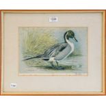 After Basil Ede (1931-2016) a set of six ornithological prints, all signed in pencil to the mounts