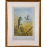 After Archibald Thorburn FZS (1860-1935), Montagu's Harriers, Signed and with blind stamp, colour