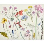 Dame Elizabeth Violet Blackadder DBE, RA, RSA (1931-2021) Flower Studies Signed, pencil and