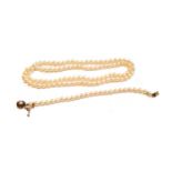 A cultured pearl necklace, length 62cm; and a cultured pearl bracelet knotted to a 9 carat gold