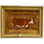 Circle of Boultbee (19th century) Study of a Heifer standing in a stable, oil on panel, 38.5cm by