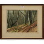 Jeremy Paul (20th century) Fox pursuing pheasant in a woodland, Signed, watercolour, together with a