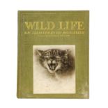 English (Douglas, editor). Wild Life. An Illustrated Monthly, 1913-17, & others