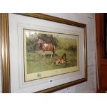A David Shepherd colour print of "Shelties" 534/1200 limited edition, signed in pencil