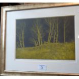 Colour print (6/25) of woodland at night, indistinctly signed, dated 1973
