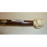 Edwardian walking cane with silver collar and carved bone head in hand finial. Collar hallmarked for