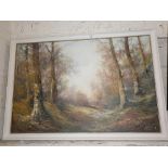 Oil on canvas of woodland by P. SILVANA (1929-?)