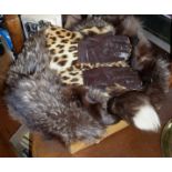 Vintage clothing: Two fur collars and a pair of leopard skin gauntlet gloves