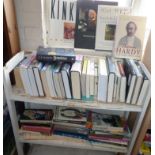 Two shelves of various books and novels